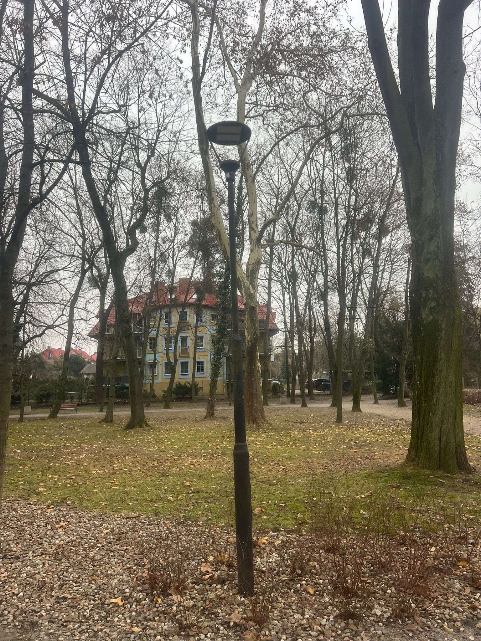 Skycraper led post top lights 40W,park landscape lighting installation project case in Poland